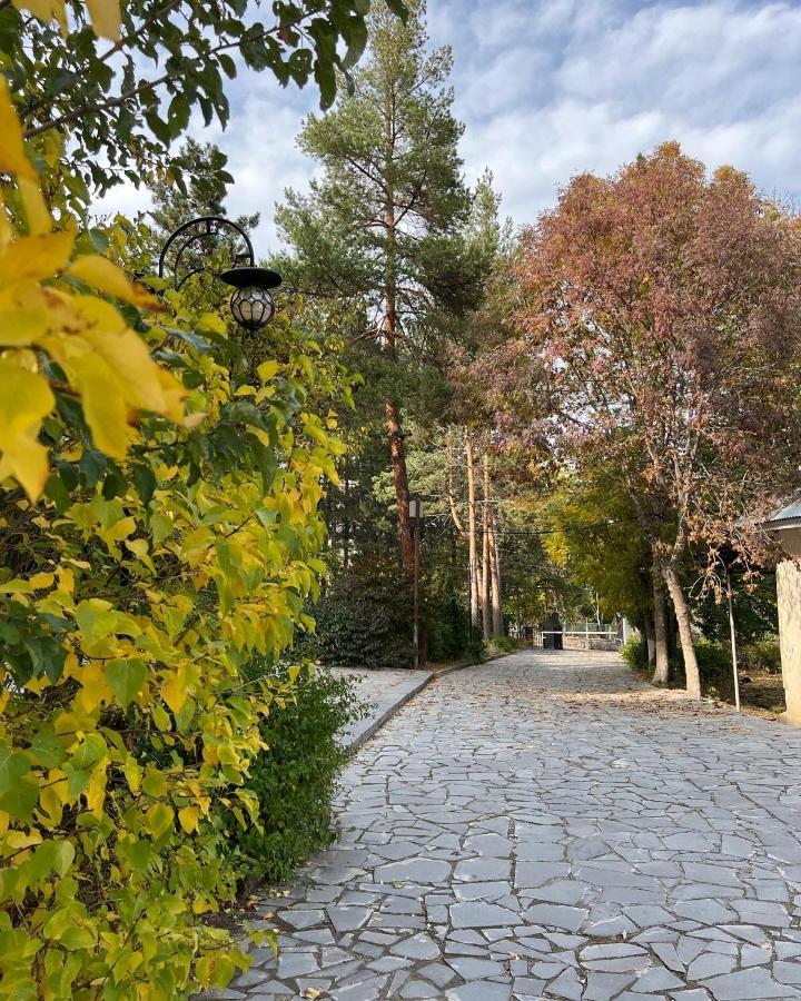 Ripa Hotel Tsaghkadzor Esterno foto