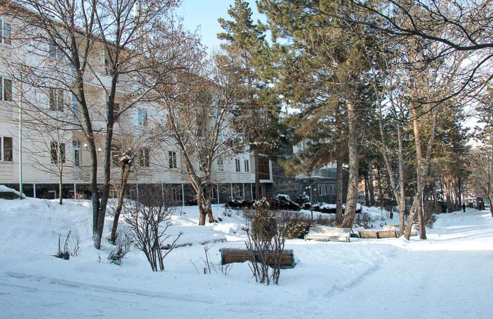 Ripa Hotel Tsaghkadzor Esterno foto